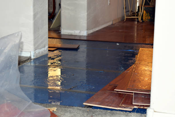 Professional Burst Pipe Cleanup technician working in Saint Clair, MI