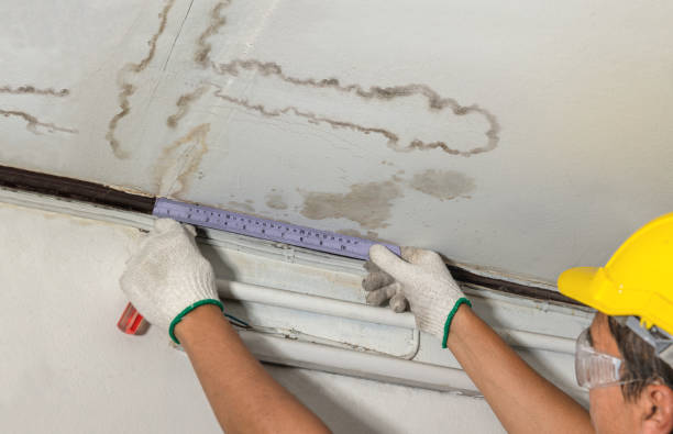 Reliable Burst Pipe Cleanup contractor in Saint Clair, MI by Water Damage Irwin